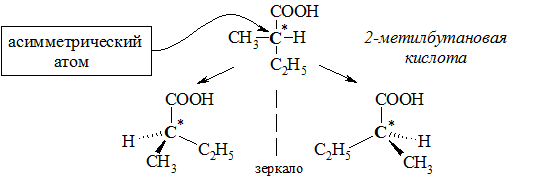 Изомеры 2-метилбутановой кислоты